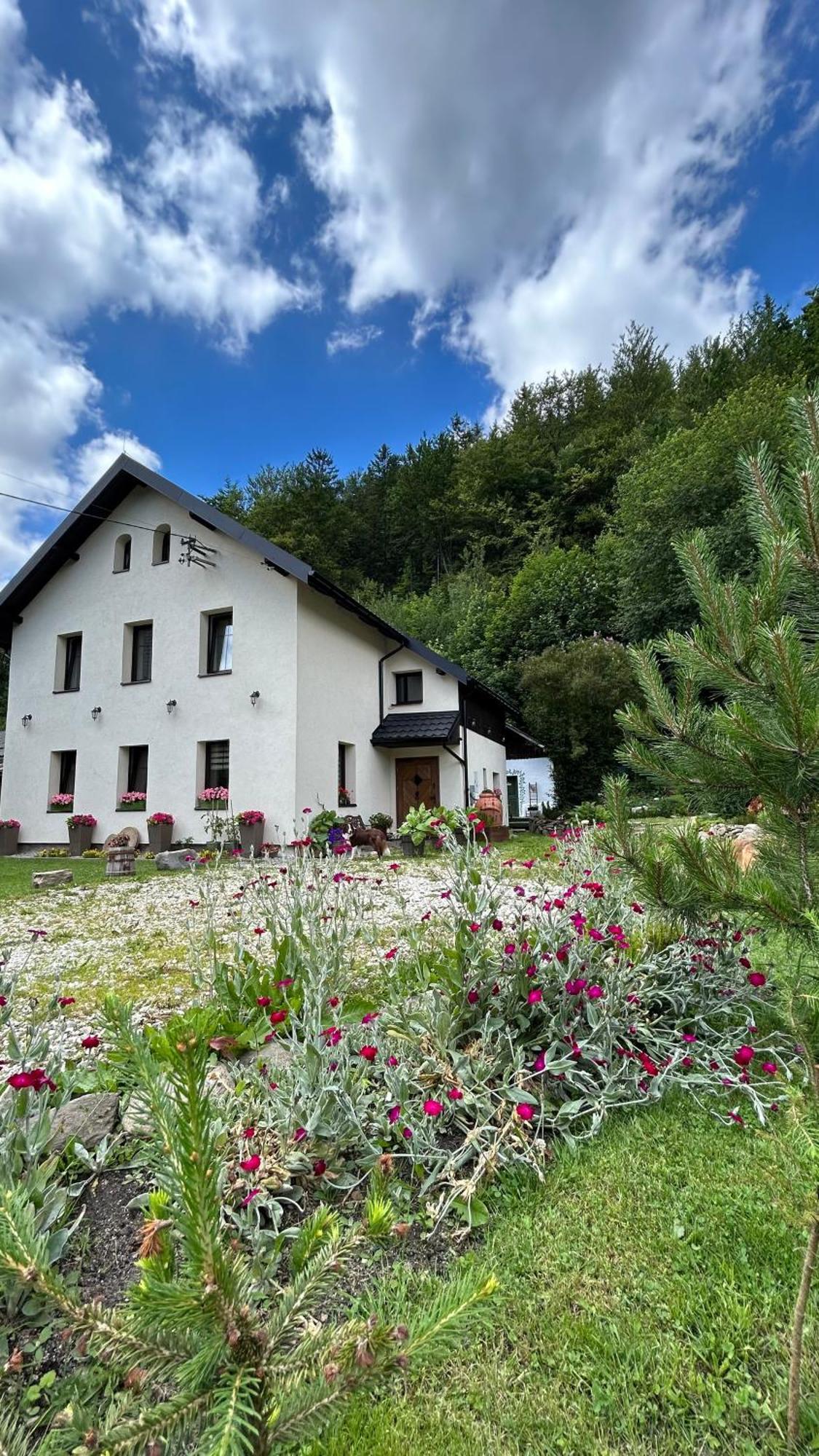 Apartamenty Goszowianka Строне-Слёнске Экстерьер фото